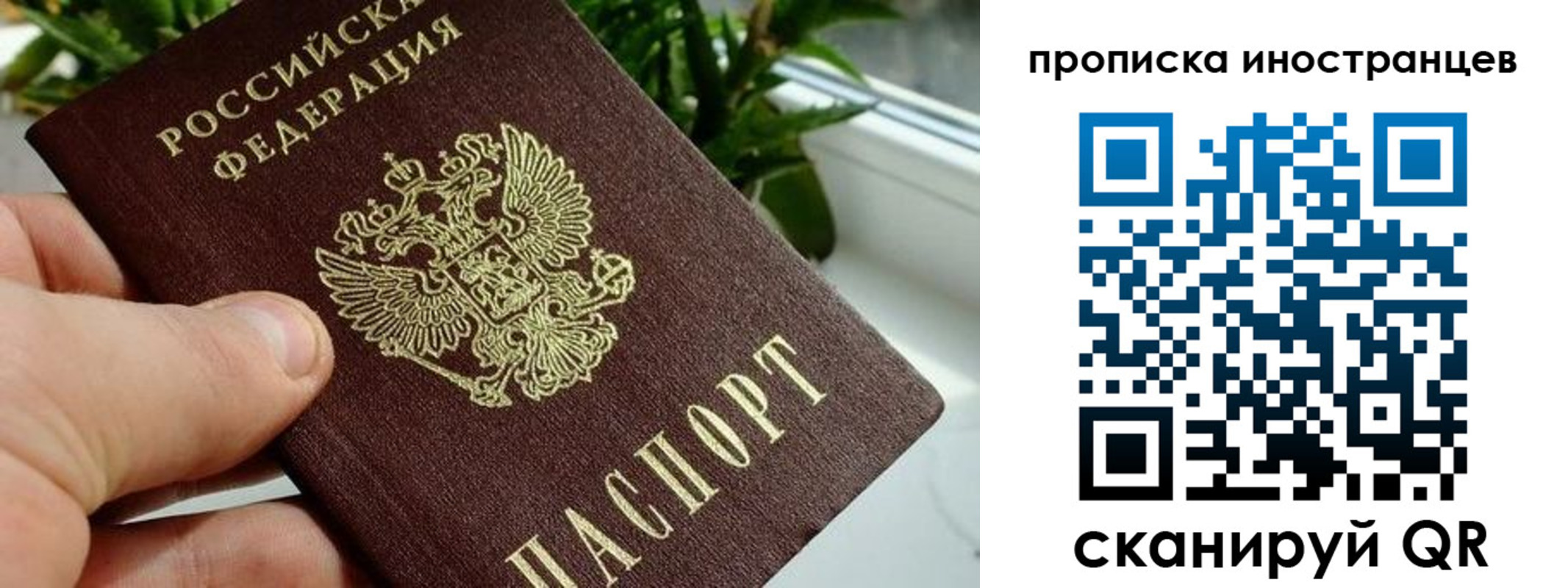 временная регистрация в Торжоке